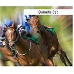 what is a quinella bet in horse racing